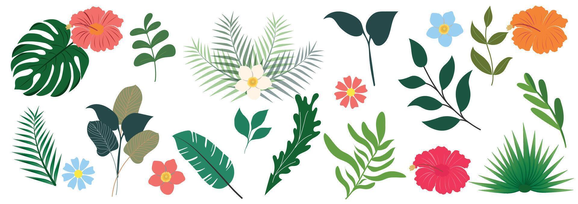 tropisch bladeren. tekenfilm oerwoud exotisch palm planten en bloemen. banaan, philodendron, plumeria, monstera blad geïsoleerd Aan wit achtergrond. bloemen elementen. vector