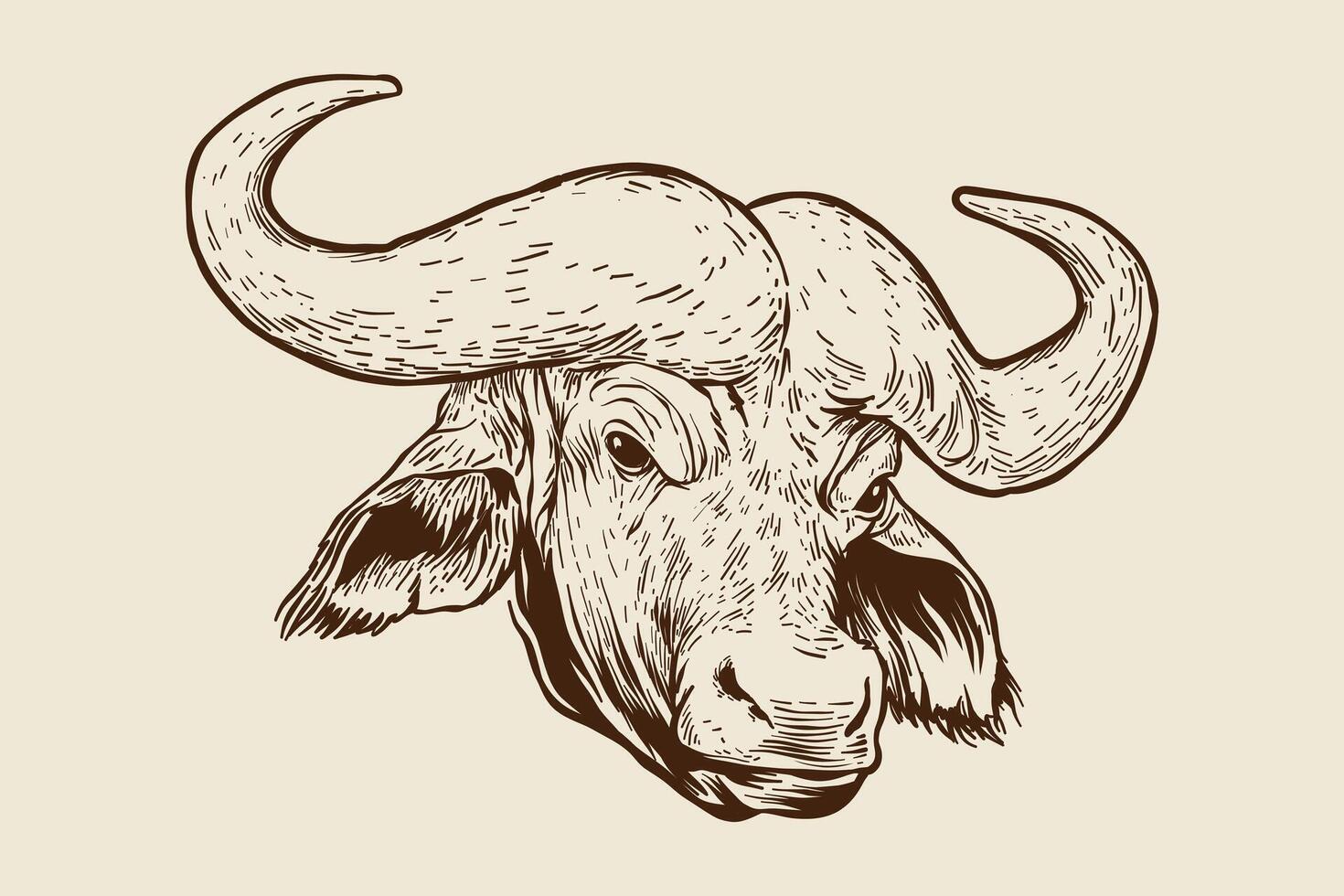 wijnoogst stijl buffel hoofd illustratie vector