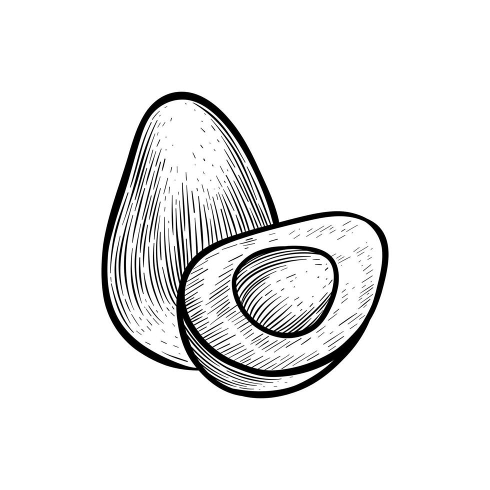 illustratie van een gesneden avocado in zwart en wit vector
