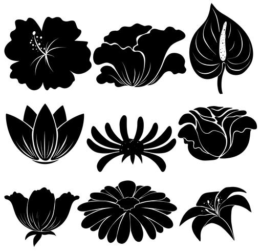 Zwarte planten vector