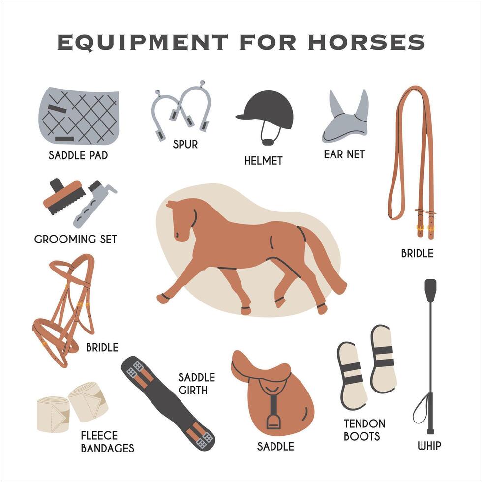 uitrusting voor paarden infographic leerzaam kaart. paard rijden tack en uitrusting pictogrammen in modieus modern stijl. paarden sport- hand- getrokken illustraties. ruiter plein poster. paarden sport- overstag. vector