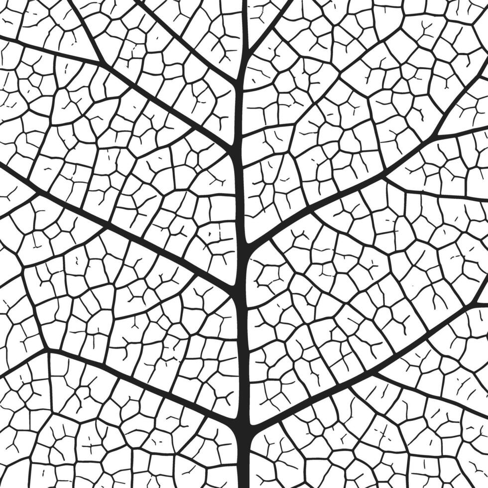 blad ader structuur abstract achtergrond met dichtbij omhoog fabriek blad cellen ornament structuur patroon. vector