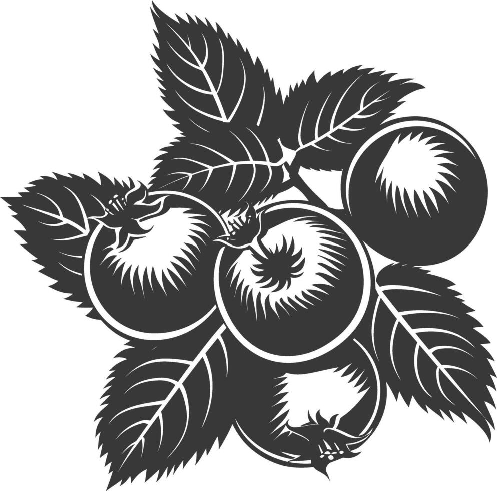 silhouet hazelnoot fruit zwart kleur enkel en alleen vector