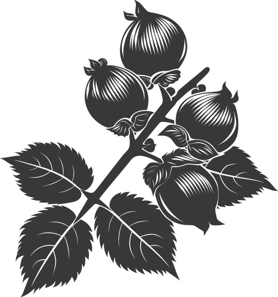 silhouet hazelnoot fruit zwart kleur enkel en alleen vector