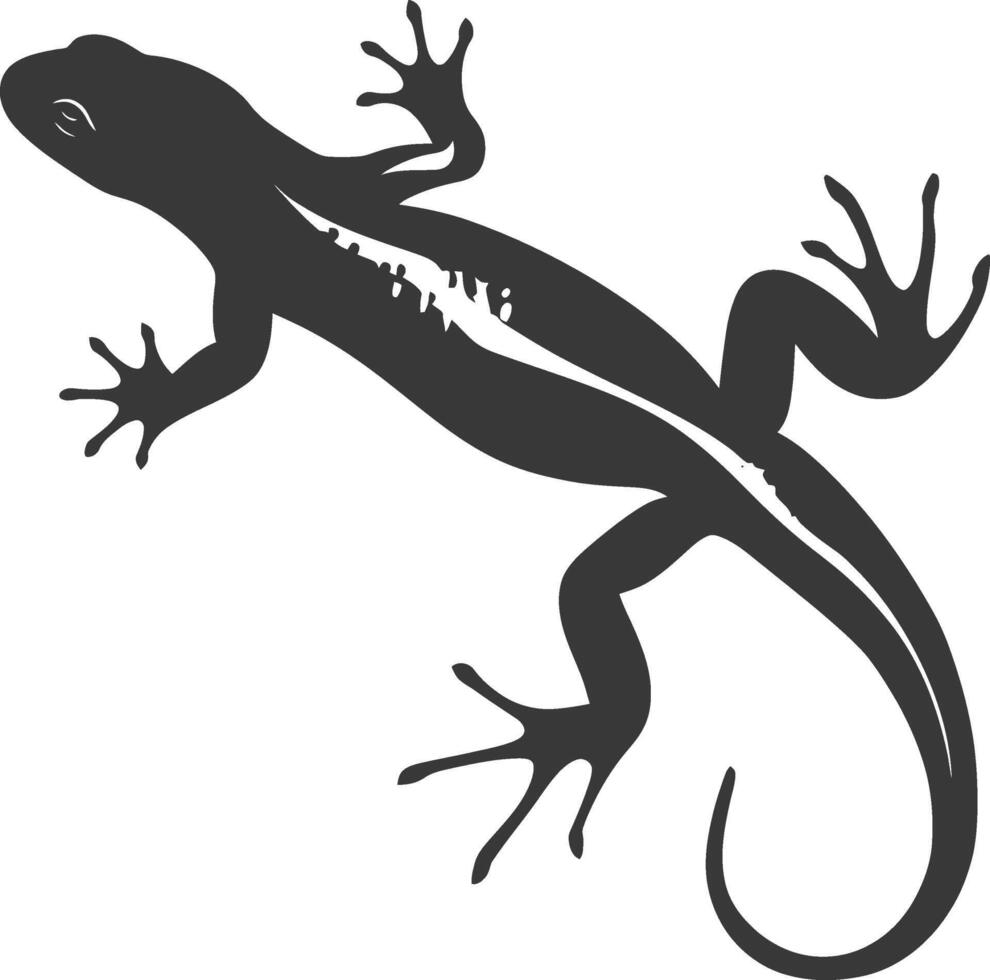 silhouet salamander dier zwart kleur enkel en alleen vector