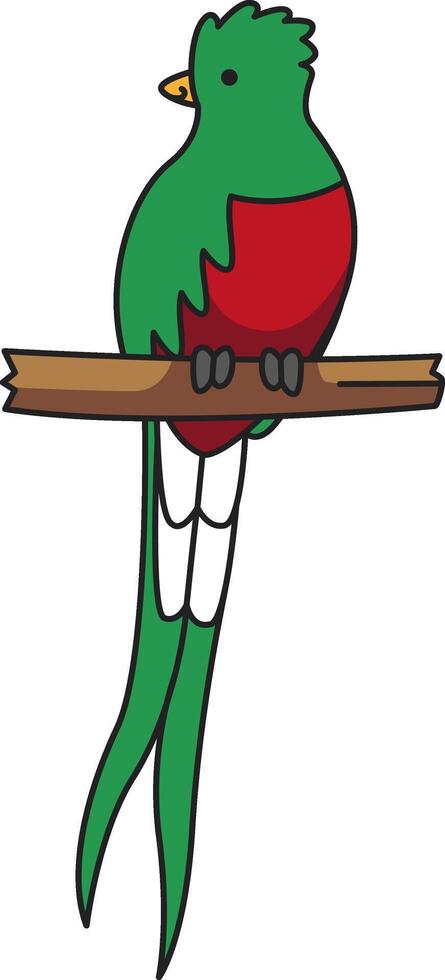 schattig quetzal illustratie vector