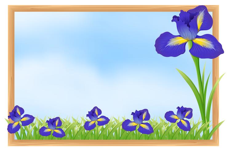 Frame ontwerp met blauwe bloemen vector