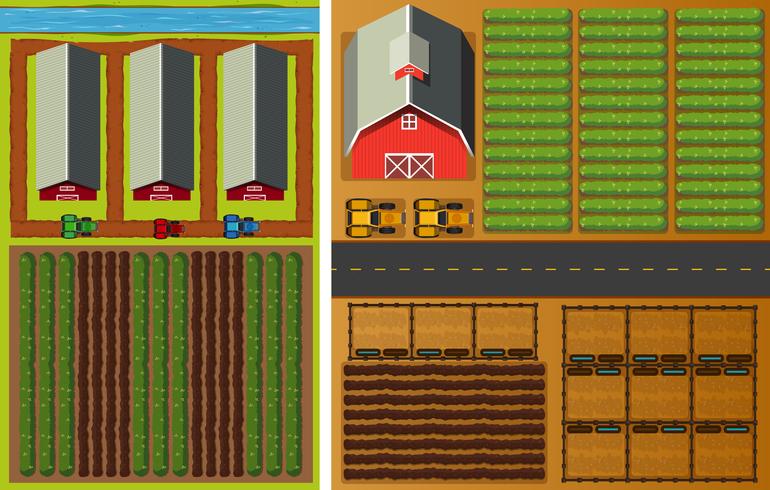 Boerderij uitzicht vanaf de top met groenten en schuren vector