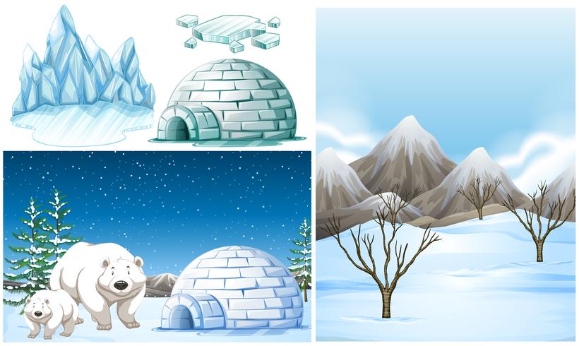 IJsberen en iglo op sneeuwgebied vector