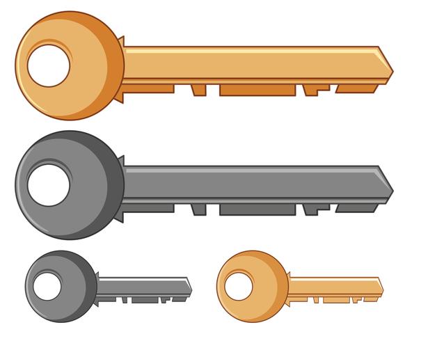 Zilveren en gouden sleutels vector