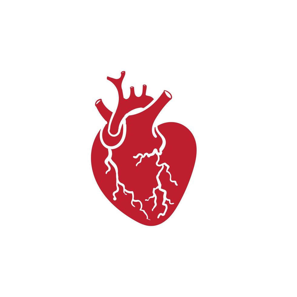 hand getrokken vector geïsoleerd menselijk hart. anatomisch correct hart met veneus systeem.doodle