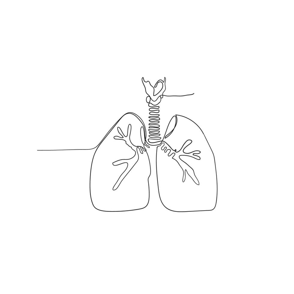 hand getrokken doodle longen illustratie vector geïsoleerd op doorlopende lijn kunststijl