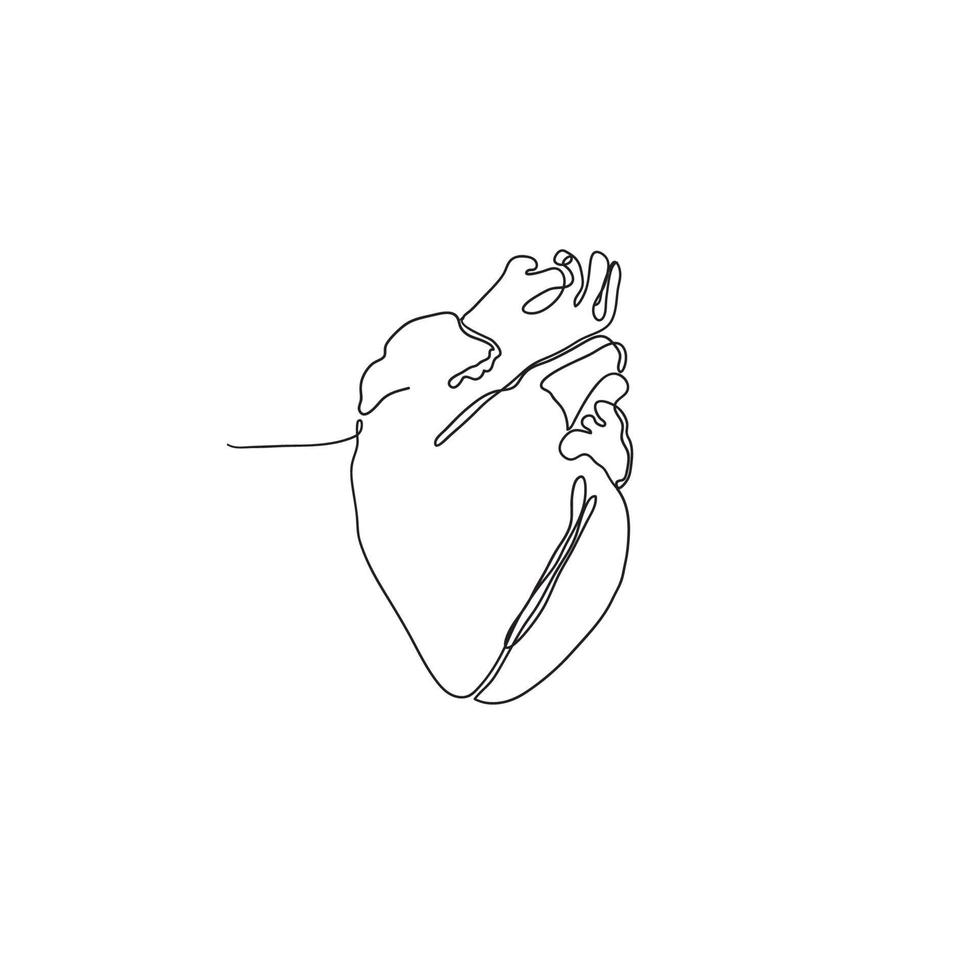 hand getrokken doodle hart orgel illustratie in doorlopende lijn kunststijl vector geïsoleerd