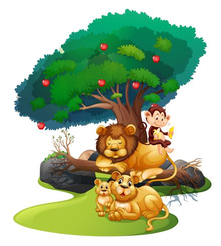 Leeuwfamilie en aap in bos vector
