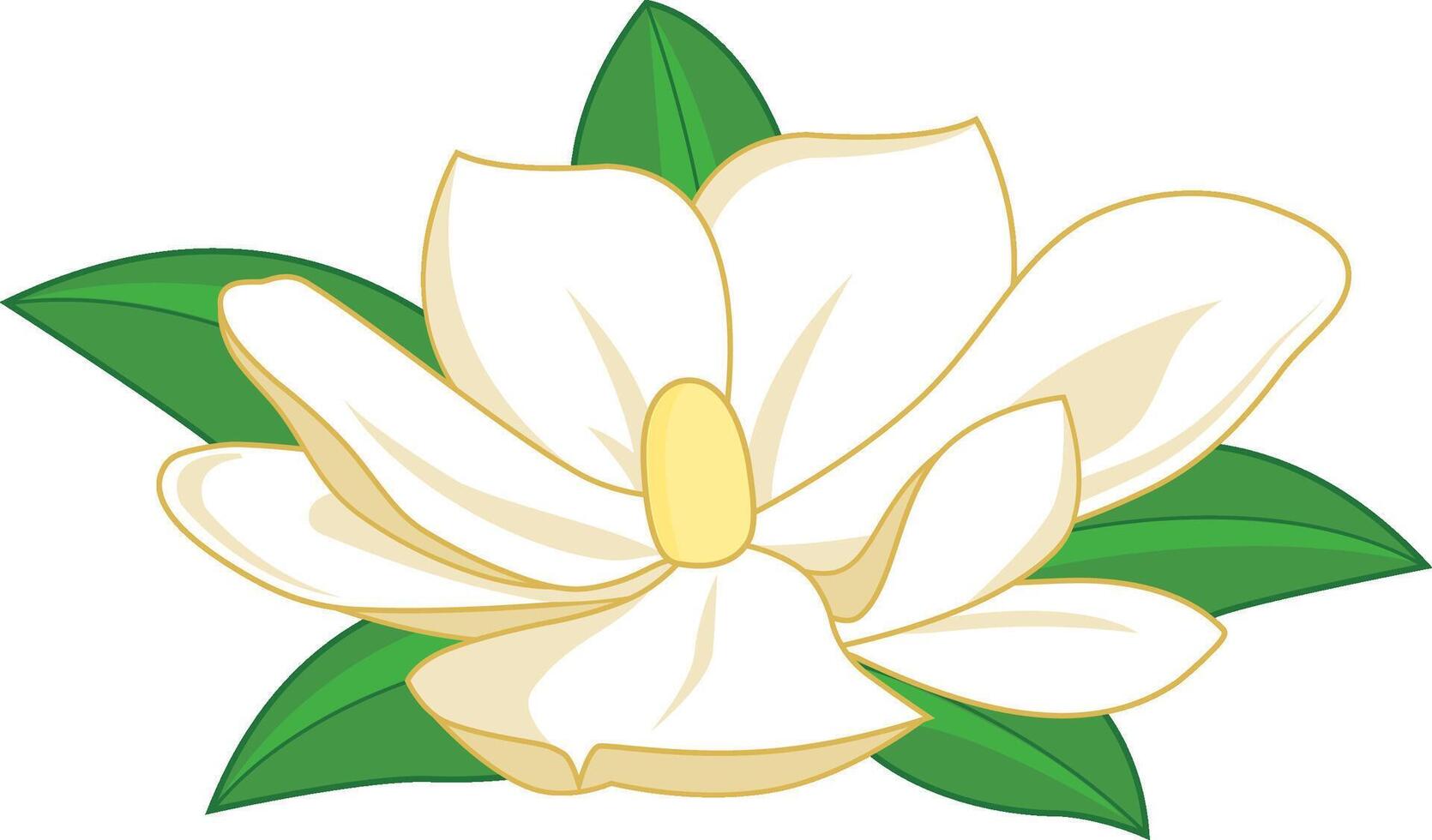 wit magnolia bloem met groen bladeren Aan wit achtergrond. magnolia bloesem. vector