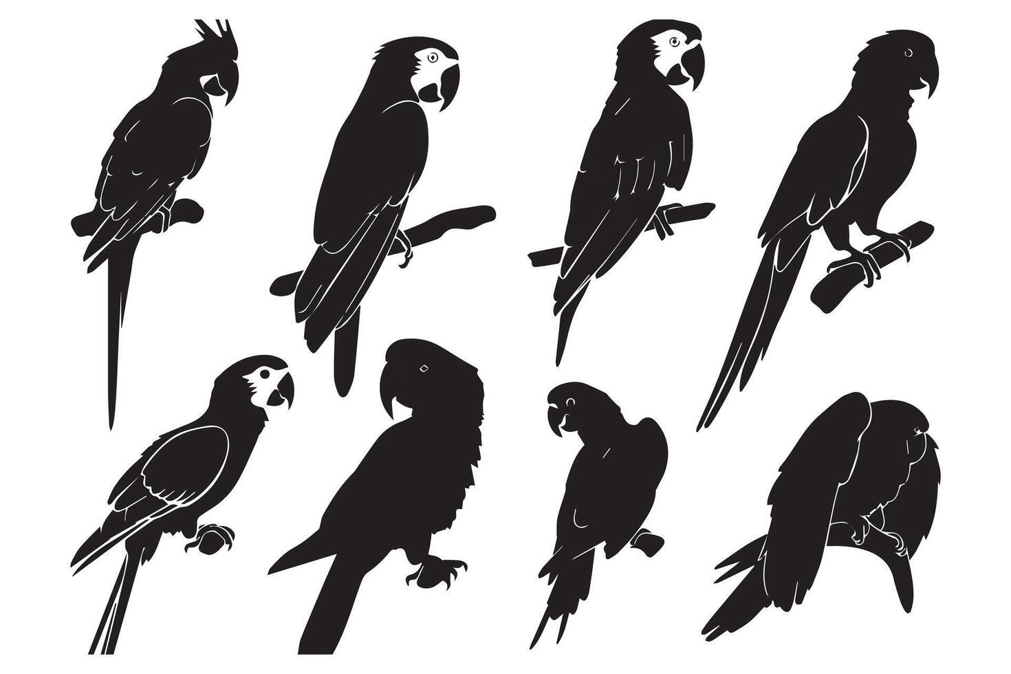 zwart silhouet reeks van papegaai Aan een wit achtergrond vector