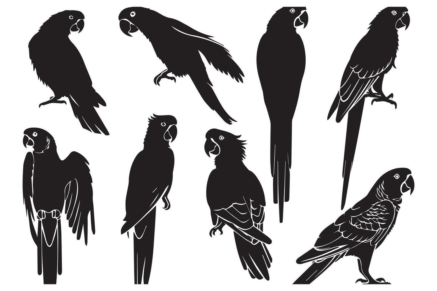 papegaai vogel silhouet zwart vector