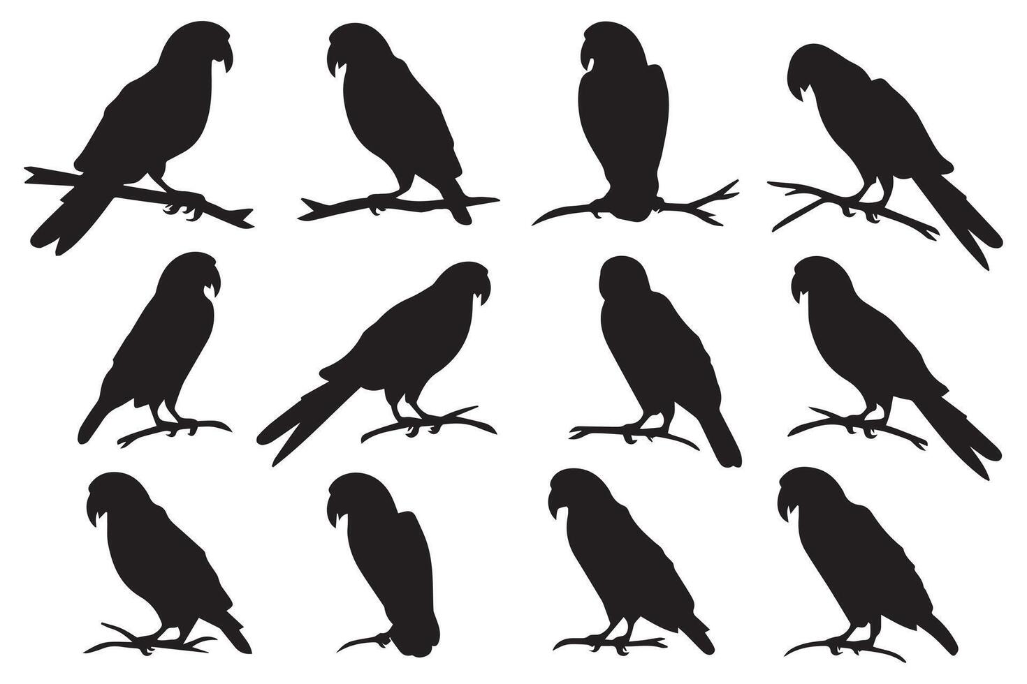 reeks van silhouetten van papegaaien. verzameling van tropisch vogelstand van de amazon oerwoud. huiselijk papegaai Aan een zitten Aan een stand.illustratie Aan een wit achtergrond vector