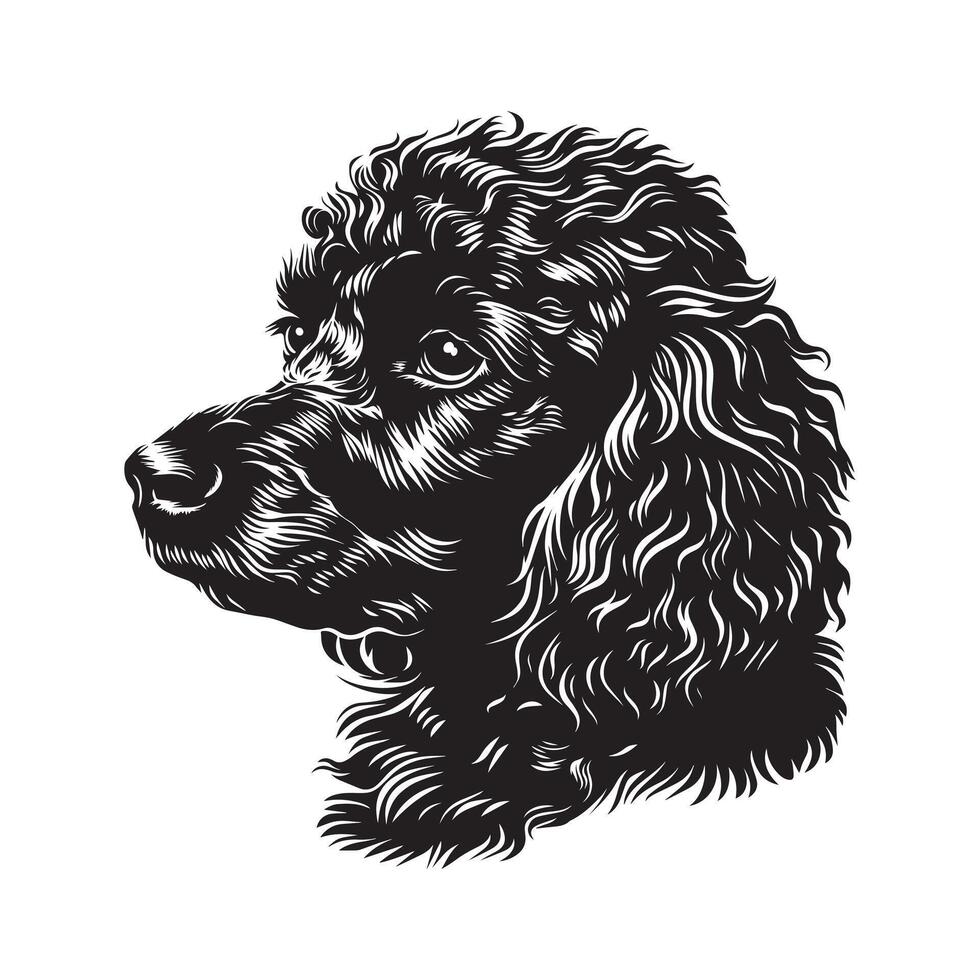 poedel hond - een weemoedig poedel hond gezicht illustratie in zwart en wit vector