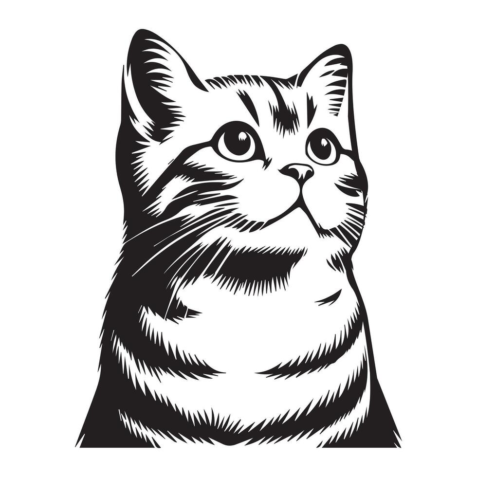 zwart en wit dromerig Amerikaans kort haar kat op zoek weg gezicht illustratie vector
