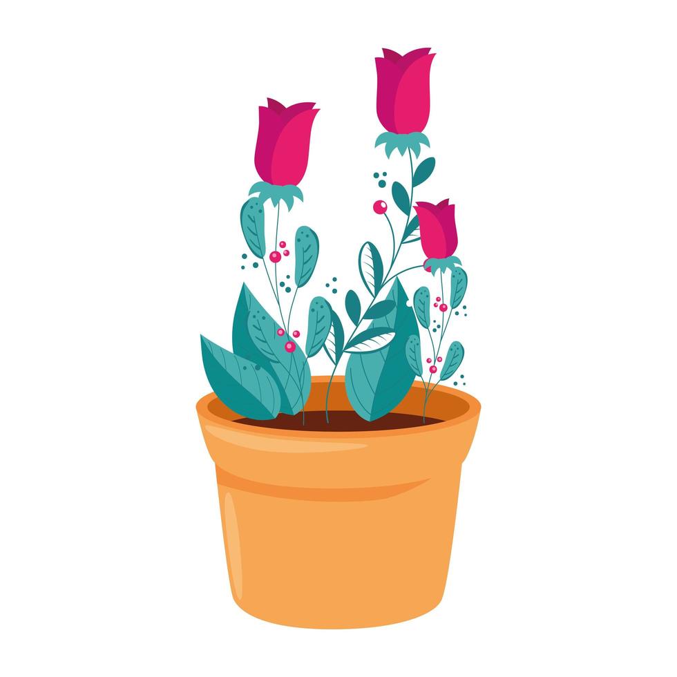 rozen bloemen in pot plant geïsoleerde icon vector