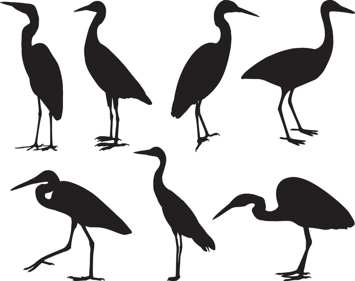 zilverreiger silhouet Aan wit achtergrond vector