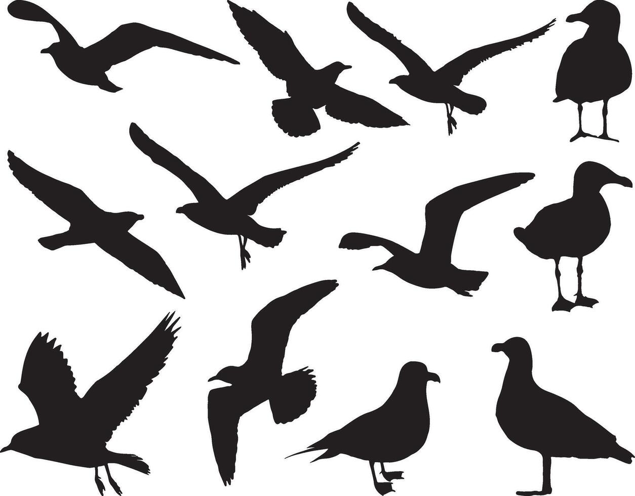 zeemeeuw vogel silhouet Aan wit achtergrond vector