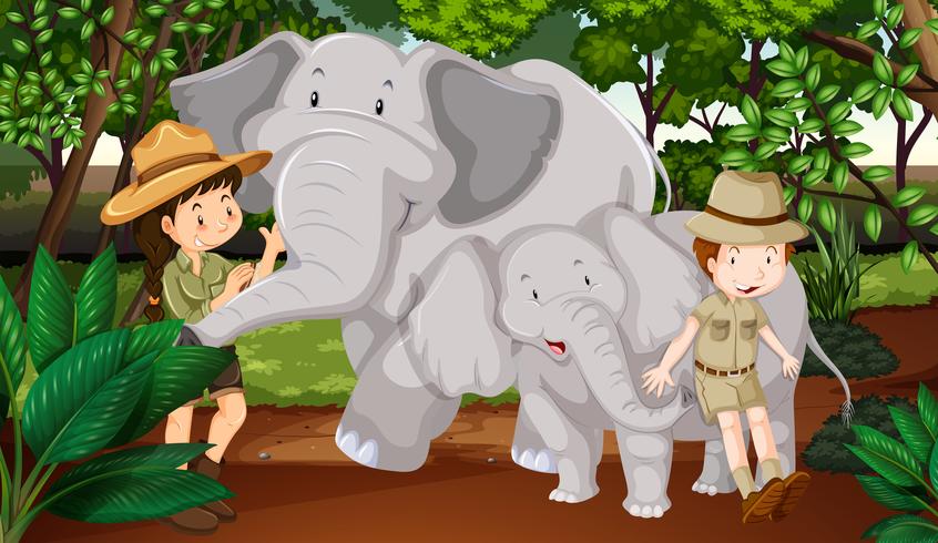 Twee olifanten en kinderen in het bos vector