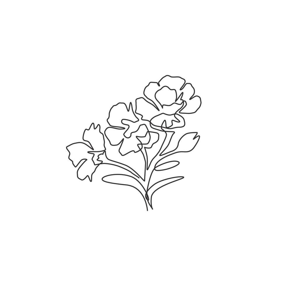 een doorlopende lijntekening schoonheid verse dianthus voor thuis kunst aan de muur decor poster print. decoratief zoete william bloem concept voor uitnodigingskaart. moderne enkele lijn tekenen ontwerp vectorillustratie vector