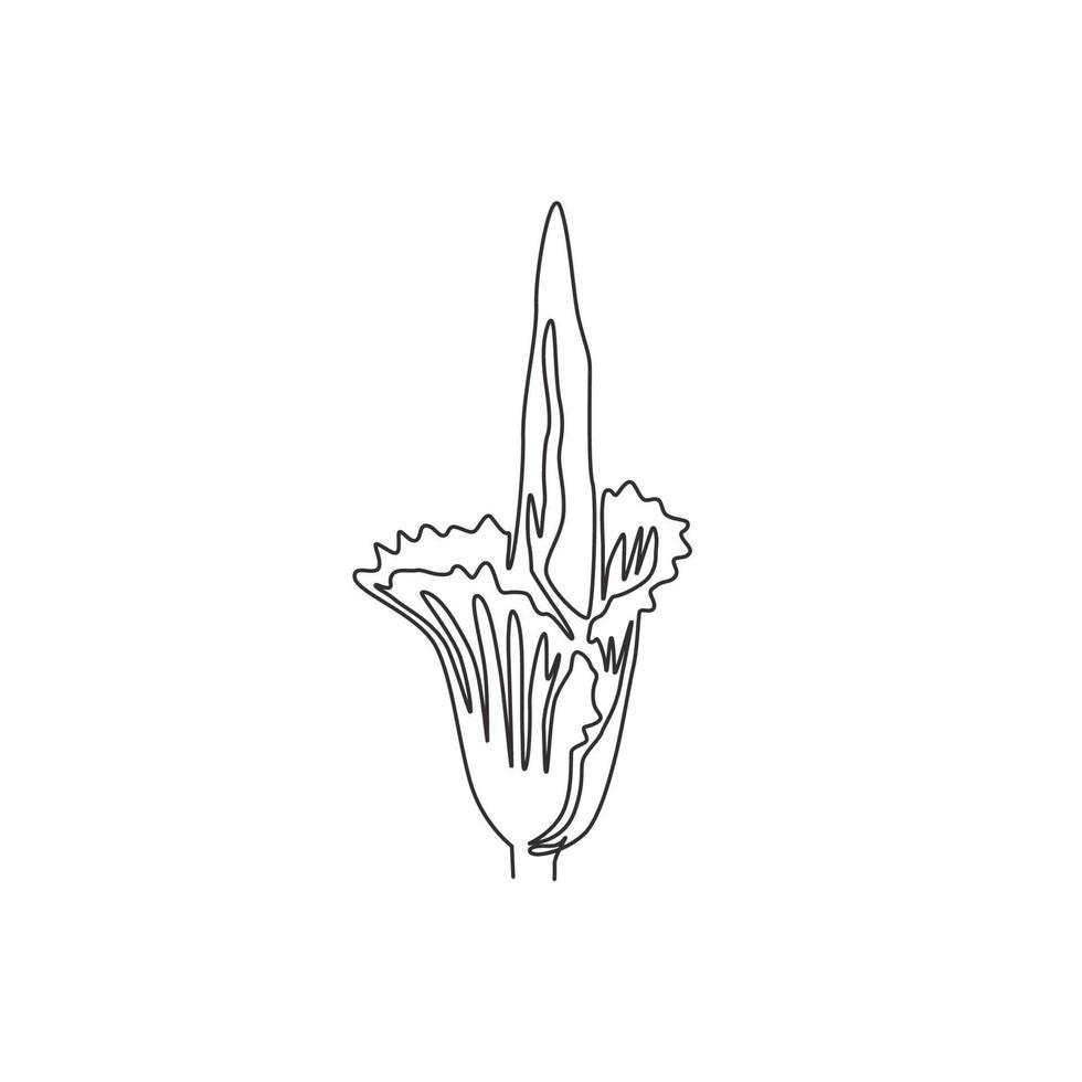 enkele doorlopende lijntekening van schoonheid verse amorphophallus titanum voor thuis muur decor poster print. decoratieve titan aronskelk bloem voor nationaal park. moderne één lijn tekenen ontwerp vectorillustratie vector