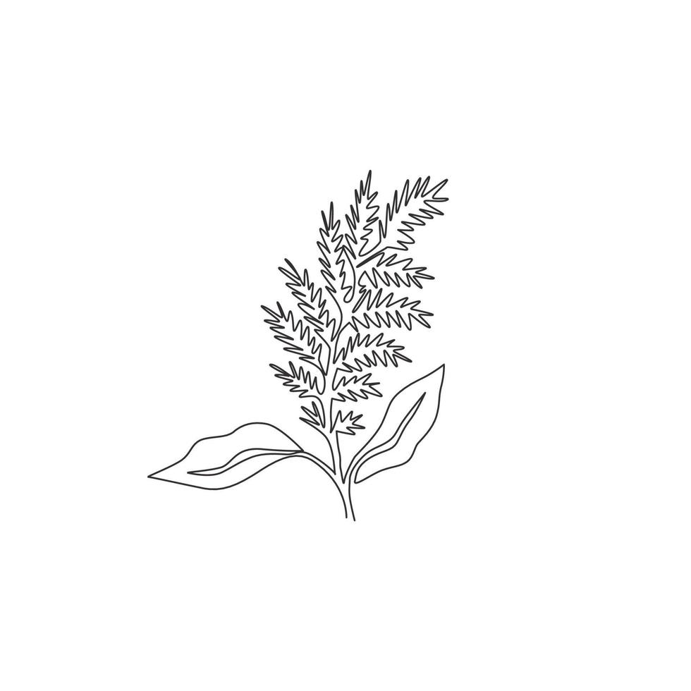 een doorlopende lijntekening van schoonheid verse amaranthus voor thuis muur decor ar poster print. decoratieve amarant bloem concept voor bruiloft uitnodigingskaart. enkele lijn tekenen ontwerp vectorillustratie vector