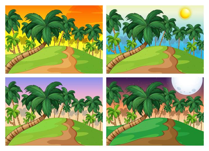 Palmbomen op de heuvels op vier verschillende tijden vector