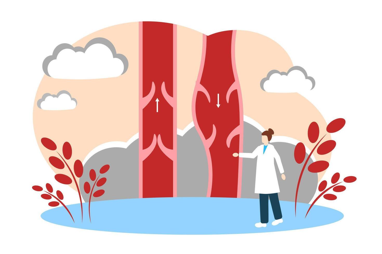 spataderen aderen. flebologie, menselijk anatomie en geneeskunde vector