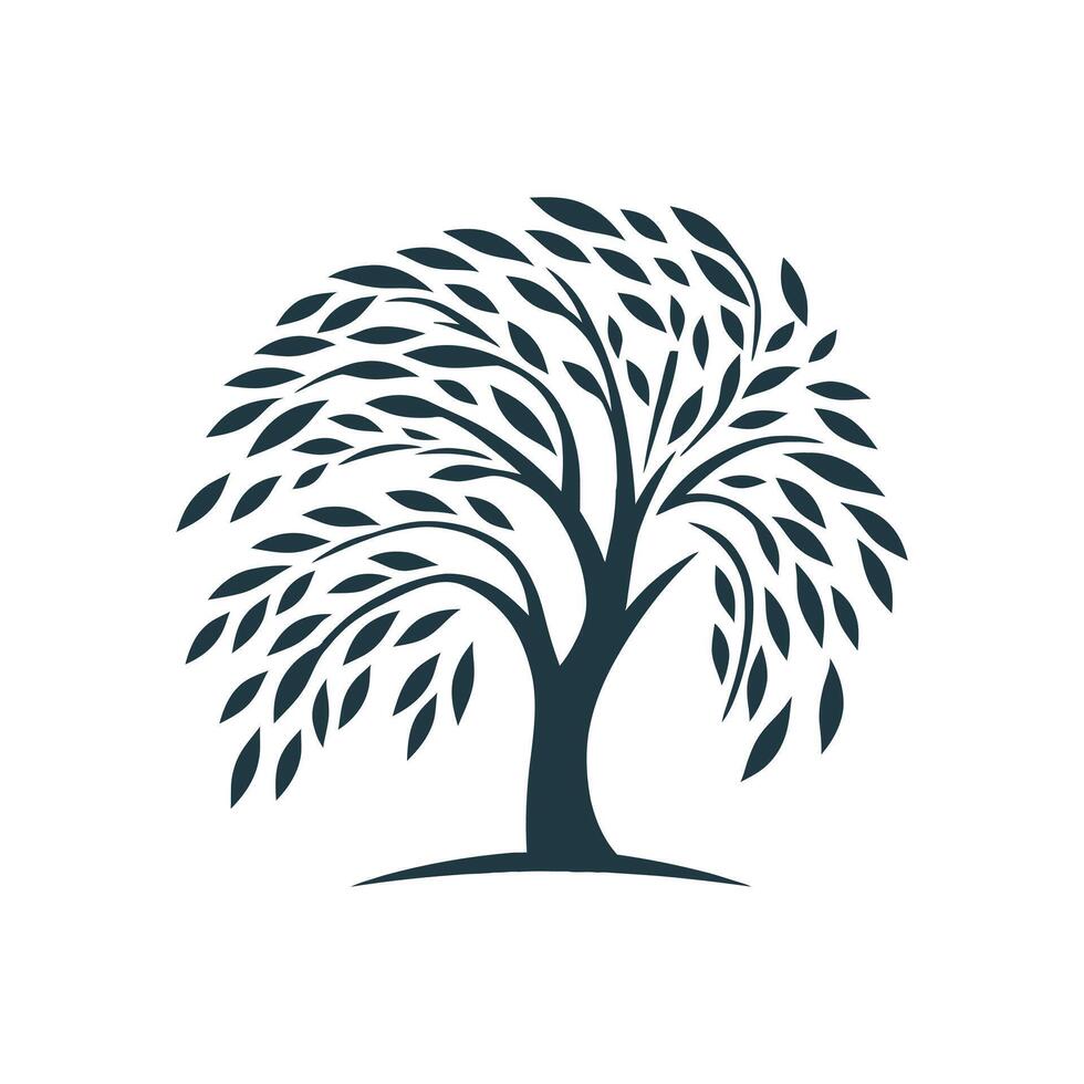 wilg boom creatief symbool icoon natuur vriendelijk teken concept vector
