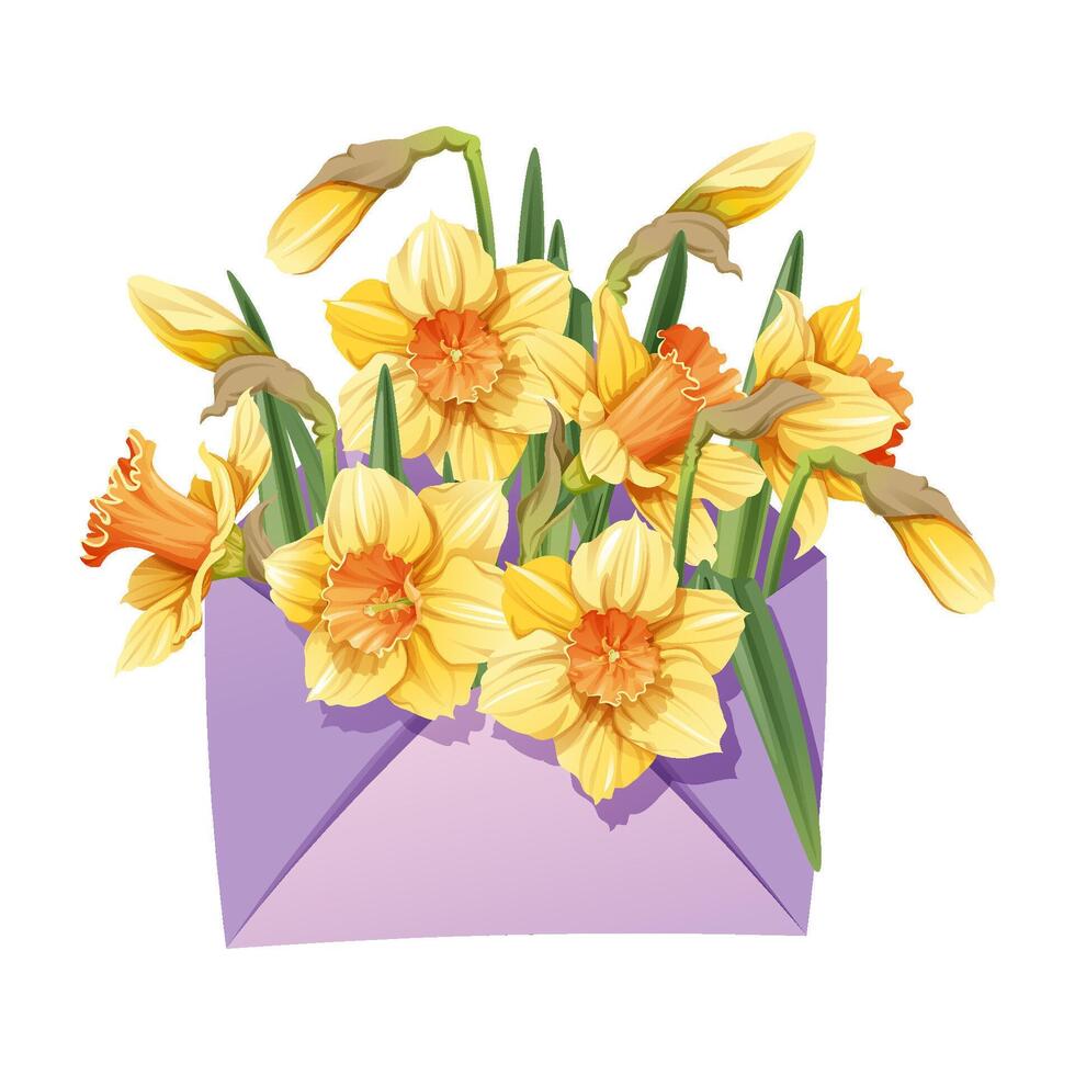 envelop met narcissen Aan een geïsoleerd achtergrond. voorjaar bloemen illustratie. gelukkig Pasen. delicaat boeket voor decoratie, ontwerp, kaarten, uitnodigingen, enz. vector