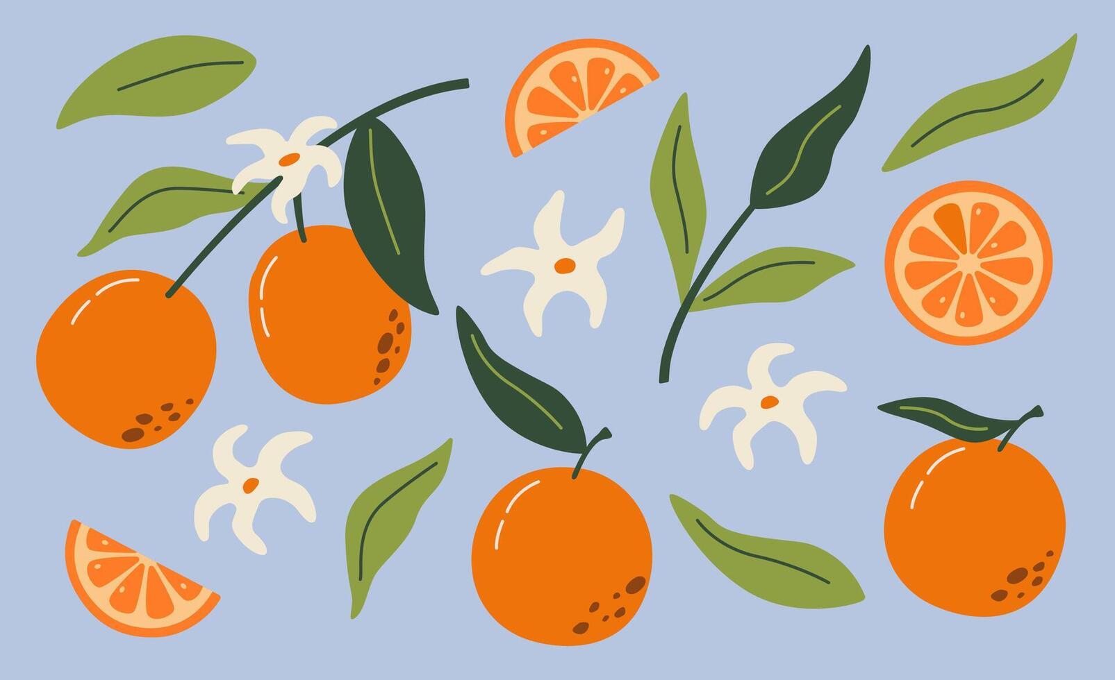 reeks van hand- getrokken sinaasappels fruit met bladeren, takken en bloemen. modern botanisch illustratie. reeks van citrus. vector