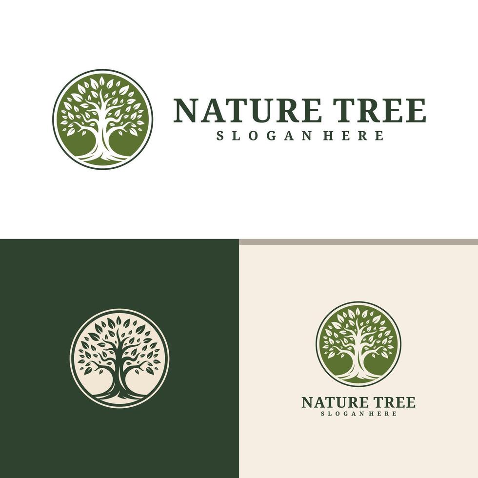 boom logo ontwerp . natuur bomen illustratie. vector