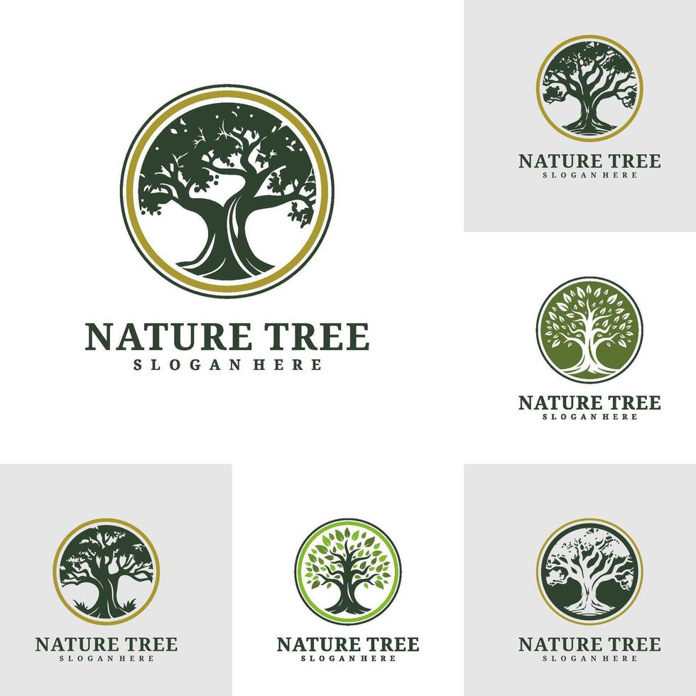 reeks van boom logo ontwerp . natuur bomen illustratie. eik boom logo concept vector