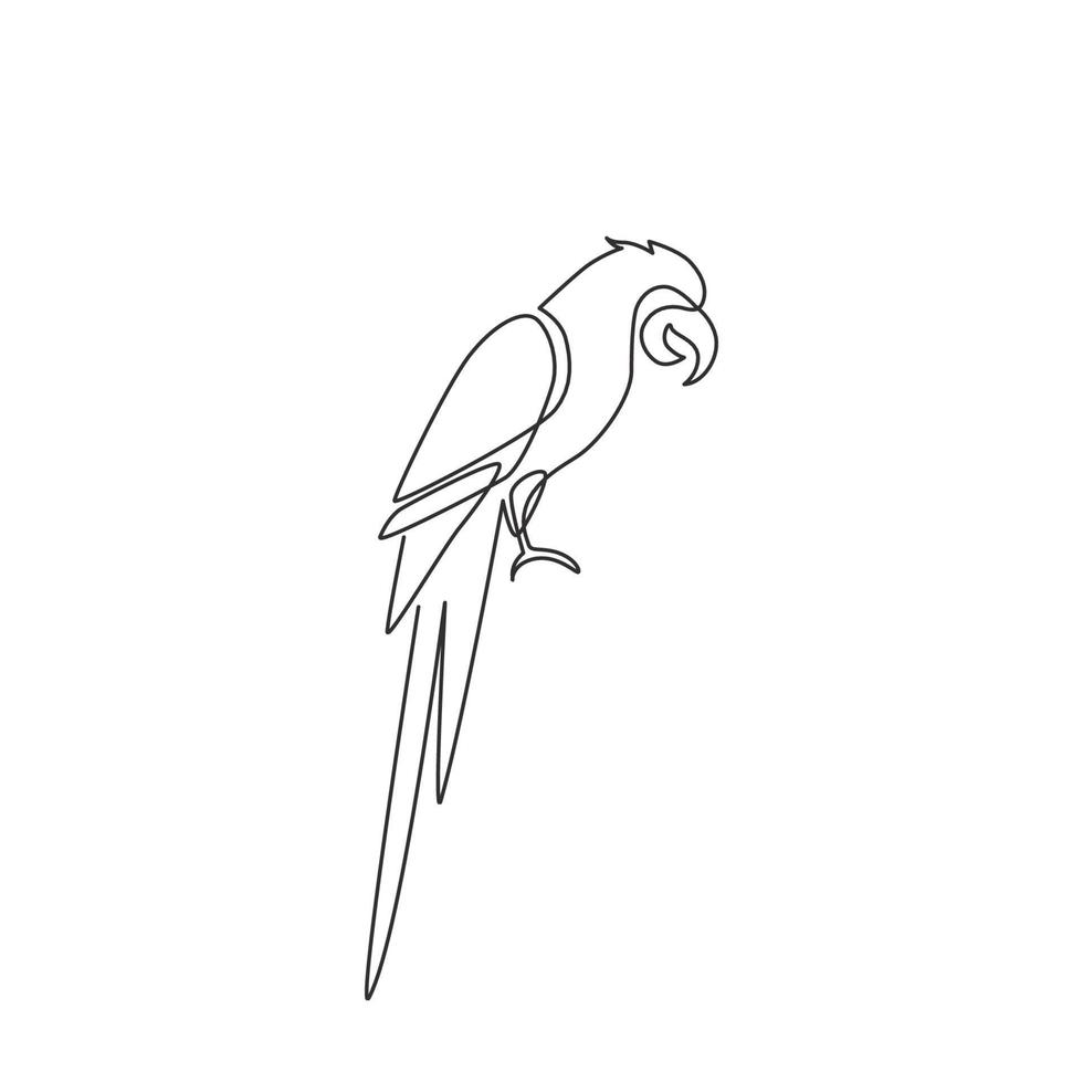 enkele doorlopende lijntekening van schattige schattige papegaaivogel met lange staart voor logo-identiteit. vleugel veer dier mascotte concept voor nationale dierentuin icoon. een lijn tekenen grafisch ontwerp vectorillustratie vector