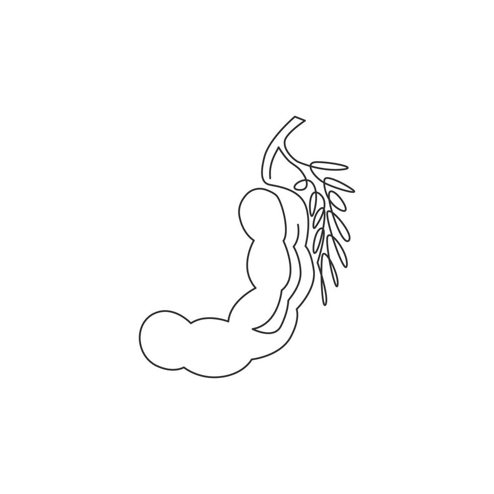 één enkele lijntekening van hele gezonde biologische tamarinde voor de identiteit van het boomgaardlogo. vers fruitconcept voor fruittuinpictogram. moderne doorlopende lijn tekenen ontwerp vector grafische afbeelding