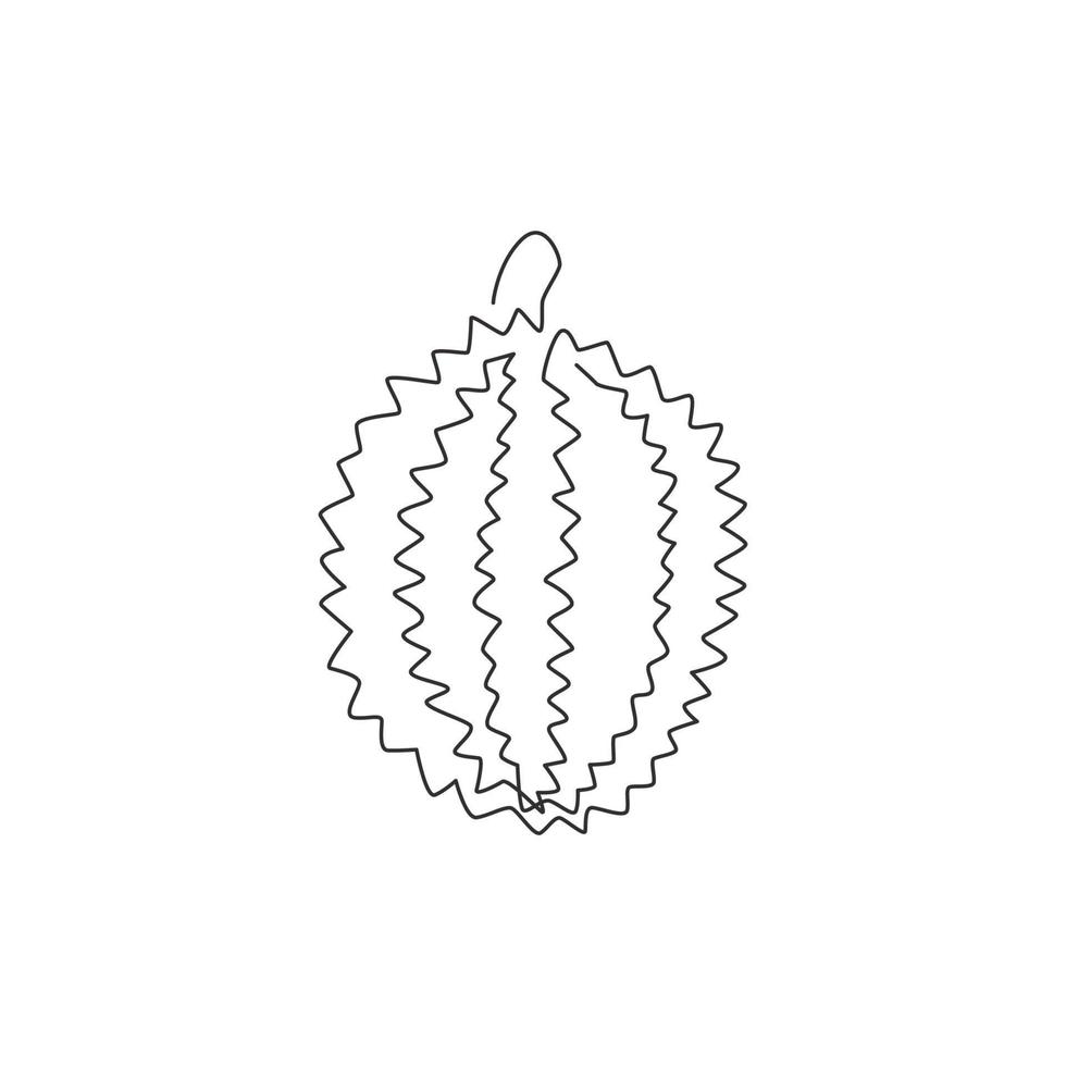 een doorlopende lijntekening hele gezonde biologische durian voor de identiteit van het boomgaardlogo. vers exotisch Thais fruitconcept voor fruittuinpictogram. moderne enkele lijn tekenen ontwerp grafische vectorillustratie vector