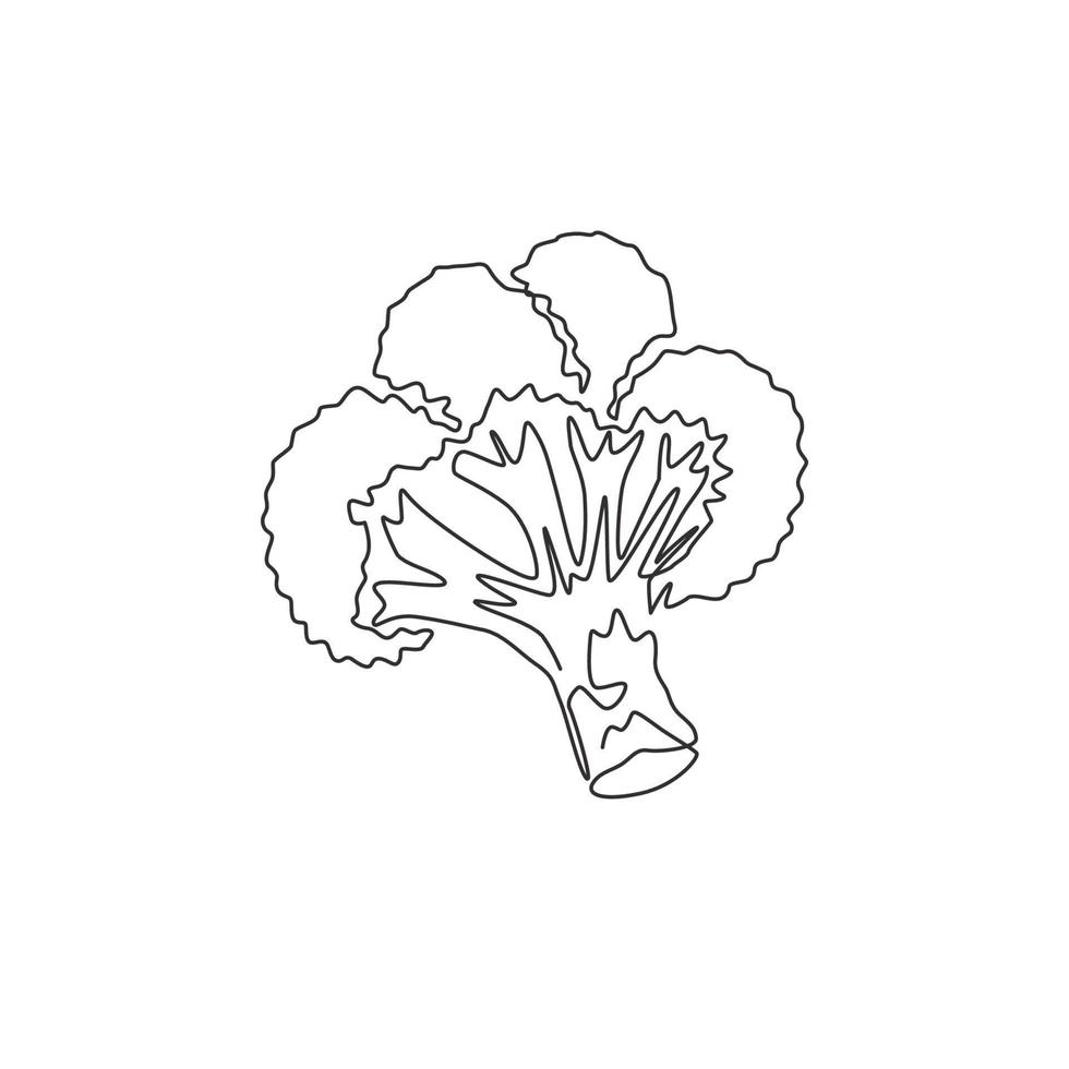 één enkele lijntekening hele gezonde biologische groene broccoli voor de identiteit van het boerderijlogo. vers eetbaar groen plantconcept voor groentepictogram. moderne doorlopende lijn tekenen ontwerp vector grafische afbeelding