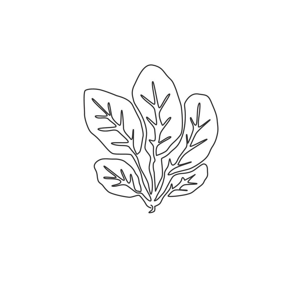 enkele doorlopende lijntekening van hele gezonde biologische groene spinaziebladeren voor de identiteit van het boerderijlogo. vers bladgroen bloeiend concept voor plantpictogram. moderne één lijn tekenen ontwerp vectorillustratie vector