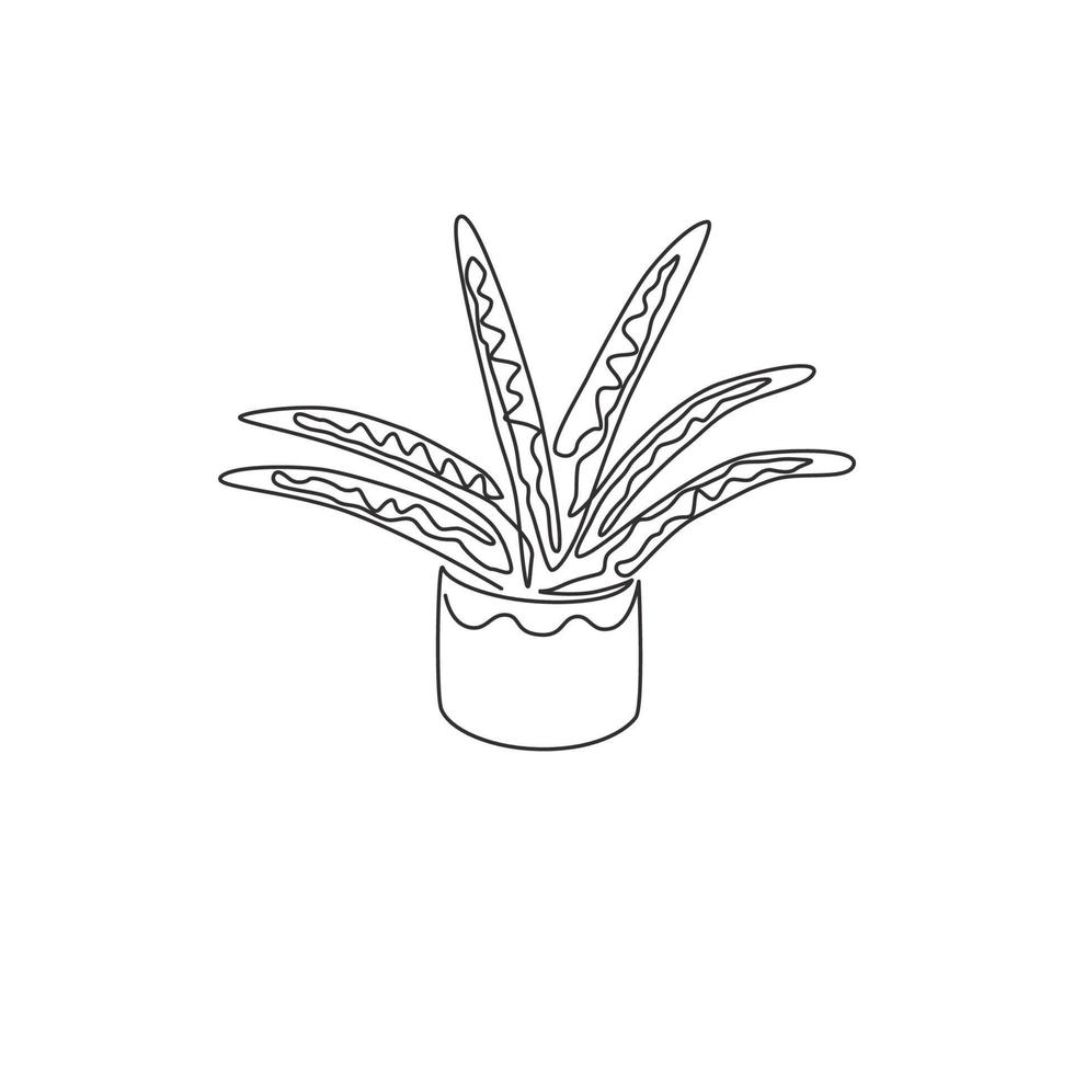 enkele doorlopende lijntekening van ingemaakte slangenplant voor de identiteit van het huisdecorlogo. vers groenblijvend meerjarig plantconcept voor plantpictogram. moderne één lijn tekenen ontwerp grafische vectorillustratie vector