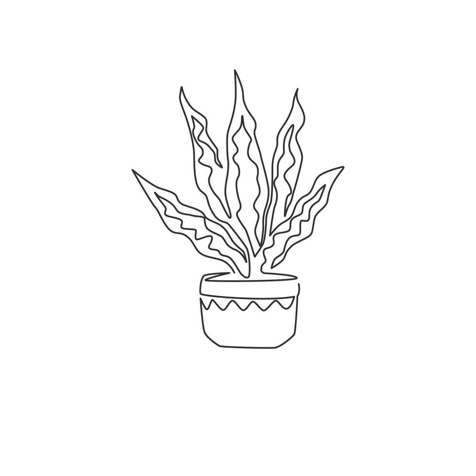 een doorlopende lijntekening van ingemaakte slangenplant voor de identiteit van het huisdecorlogo. vers groenblijvend meerjarig plantconcept voor plantpictogram. moderne enkele grafische lijn tekenen ontwerp vectorillustratie vector