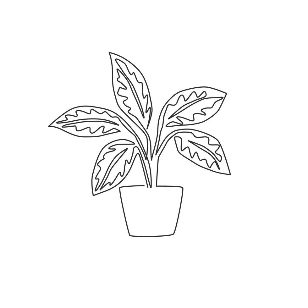 een enkele lijntekening schattige ingemaakte tropische blad aglaonema plant. afdrukbaar decoratief kamerplantconcept voor het decorornament van de huismuur. moderne doorlopende lijn tekenen ontwerp vector grafische afbeelding