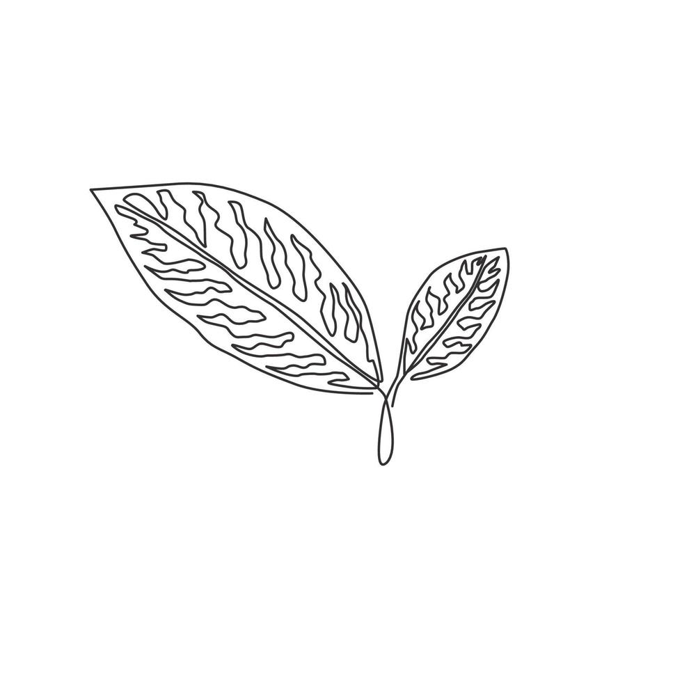een doorlopende lijntekening van schattige tropische bladeren aglaonema plant. afdrukbaar decoratief kamerplantconcept voor het decorornament van de huismuur. moderne enkele lijn tekenen ontwerp grafische vectorillustratie vector
