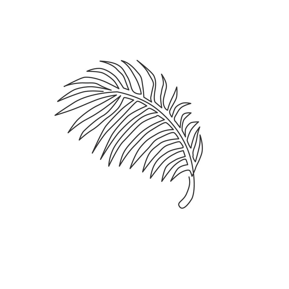 één enkele lijntekening van tropische kokosnootbladplant. afdrukbare poster decoratieve kamerplant concept voor thuis muur decor ornament. moderne ononderbroken lijn grafisch tekenen ontwerp vectorillustratie vector