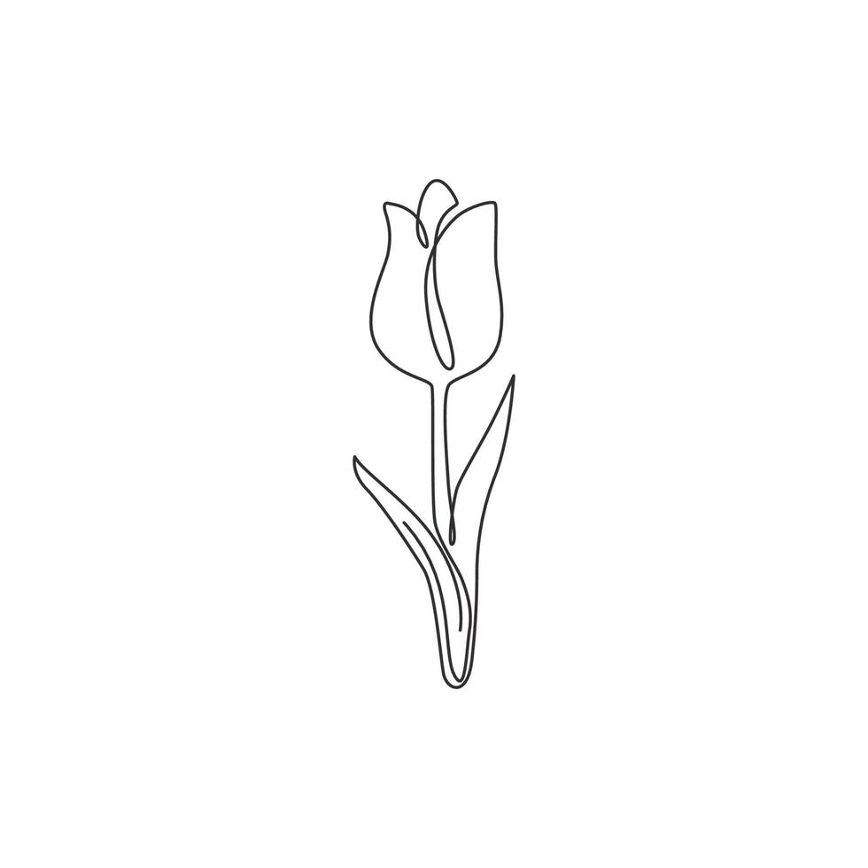 een doorlopende lijntekening schoonheid verse tulp voor logo. afdrukbare decoratieve holland nationaliteit bloem concept home muur decor poster kunst. moderne enkele lijn tekenen ontwerp vector grafische afbeelding