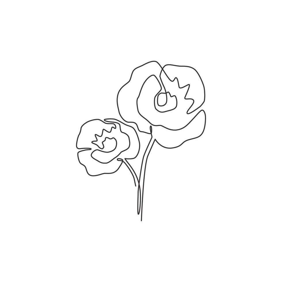 enkele doorlopende lijntekening schoonheid verse kruidachtige plant voor tuin logo. afdrukbare decoratieve papaver bloem concept voor home decor kunst aan de muur poster. moderne één lijn tekenen ontwerp vectorillustratie vector